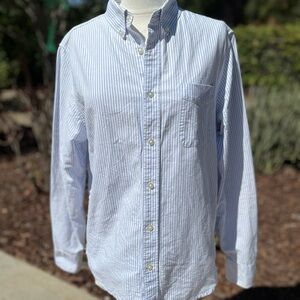 Everlane Light Blue Striped Button Down Shirt